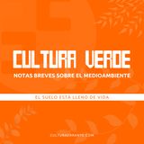 005 El suelo está lleno de vida | Cultura verde