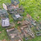 Aveva armi modificate e strumenti di caccia illegali: denunciato un bracconiere