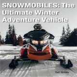 Snowmobiles 3:6:26 9.21 PM