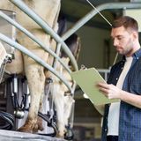 Optimize Livestock with Cattle Care Video Analytics