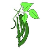Cómo surgieron las habas | Cuentos de Naturaleza