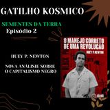 Nova analise sobre o Capitalismo Negro
