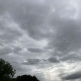 What Does Love Have to Say?