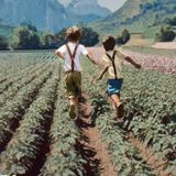 Graziella Belli "I campi di patate fanno le onde"