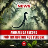 Animale Da Record: Può Tramortire 400 Persone!