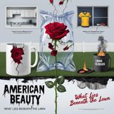 Film Review: American Beauty (USA 1999) by Sam Mendes