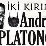 İKİ KIRINTI  Andrey PLATONOV sesli öykü tek parça