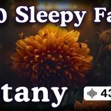The Most Relaxing Facts About Plant Remedies to Fall Asleep To _ No Adverts