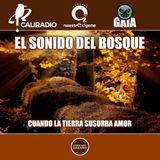 NUESTRO OXIGENO El sonido del bosque - cuando la tierra susurra amor