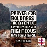 Prayer for Boldness, Book of Prayers of the New Covenant Church of the Body of Christ.