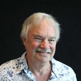 More than kindness: compassion and its uses