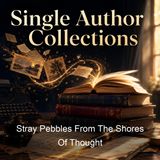 Stray Pebbles From The Shores Of Thought - Elizabeth Porter Gould