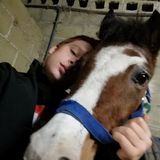 #messina Di corsa su un cavallo