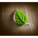 Something Natural...Aromatherapy To Enhance Everyday Living