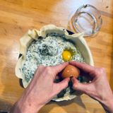 desperate/pasqua con i buoi
