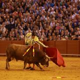 Al Alimón: Morante desata "la locura" toreando al natural en Sevilla
