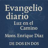 Evangelio Diario 3 de Diciembre Mons Enrique Diaz #Evangelio #Everyone