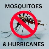 Last Year's Storms and This Year's Mosquitoes - Adriane Rogers Pasco Mosquito Control