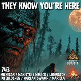 Something Was Watching Us! – 45 Years of Bigfoot in Michigan