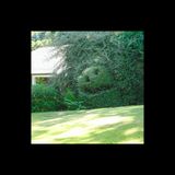 Bob, the Rasta, from the bushes
