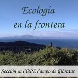 El mito de la ardilla que cruzaba España sin tocar el suelo - Ecologia en la Frontera #14 - 8/2/19
