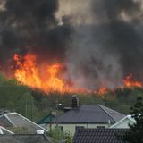 Politics And Wildfires