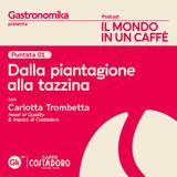 Dalla piantagione alla tazzina con Carlotta Trombetta, Head of Quality & Impact di Costadoro