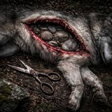 The Wolf and the Seven Little Kids - Scissors Split Belly