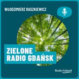Lejmy wodę! Róbmy błoto! To dla jaskółek lepiących gniazda wiosną