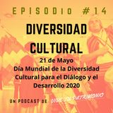#14 Diversidad Cultural