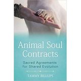 Animal Soul Contracts~ Agreements Between Animals & Their Humans