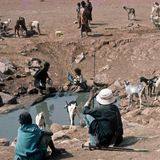 Le journal du 05 mars 2026 - Les Éleveurs reçus par le ministre du Commerce