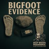 Bigfoot Evidence Deep Dive | Videos, Structures & Physical Proof