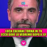 Luca Calvani dopo il Grande Fratello: il nuovo programma che non ti aspetti