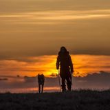 #811 Alpha: El lobo amigo del hombre | luisbermejo.com | podcast