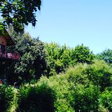 Dormire sugli alberi Il Piemonte vi offre 5 opzioni diverse per provare questa favolosa esperienza (online-audio-converter.com)