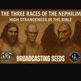 Biblical Mysteries and Strange Creatures: A Conversation with Seth Vandebroek