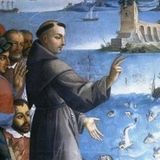 La predica ai pesci servì a Sant'Antonio per combattere l'eresia