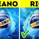 8 Coisas Que os Tubarões Fazem Por Você Sem que Você Saiba.