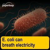 E. coli can breath electricity
