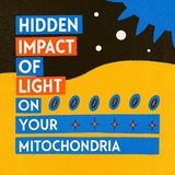 The Hidden Impact of Light on Your Mitochondria