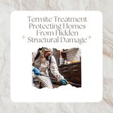 Termite Treatment Protecting Homes From Hidden Structural Damage