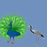 An Aesop's fables - The Peacock and The Crane