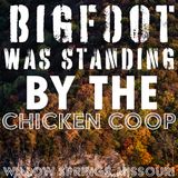 BIGFOOT ENCOUNTER IN WILLOW SPRINGS MISSOURI NEAR THE MARK TWAIN NATIONAL FOREST! (CHICKEN COOPS)