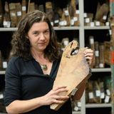 Valerie Trouet Releases The Book Tree History