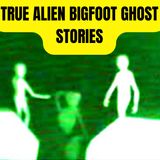 Alien Abduction Stories | Reddit Aliens Stories