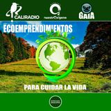 NUESTRO OXIGENO Ecoemprendimientos para cuidar la vida