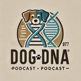 Episode 1 - The Dachshund