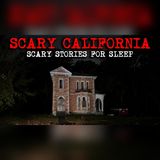 15 California Wilderness Encounters Too Terrifying to Explain