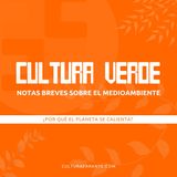 010 ¿Por qué el planeta se calienta? | Cultura verde